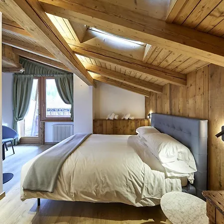 Boton D'oro Auronzo di Cadore